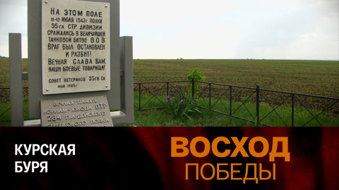 Курская буря