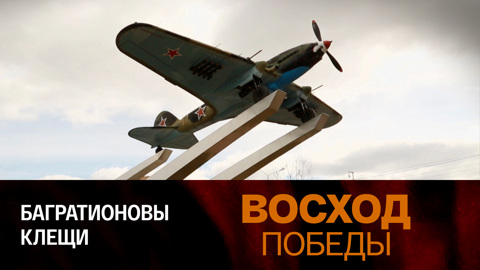 Багратионовы клещи