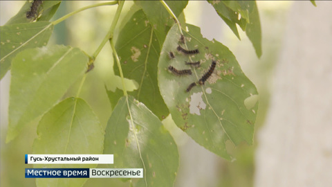 Эфир от 04.06.2023