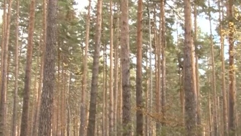 В Саратовской области планируется создать сеть заказников