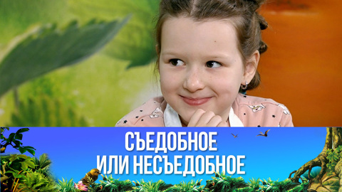 Паста карбонара. Эфир от 24.06.2023
