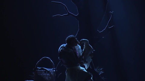 Гастроли Пермского академического Театра-театра, семейный мюзикл "Карлик Нос"