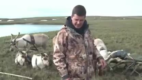 Губернатор Ямала Дмитрий Артюхов в тундре