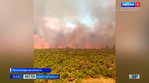 Страшный пожар в Кургальском заказнике