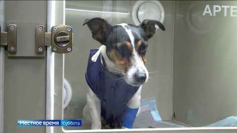 Эфир от 01.07.2023