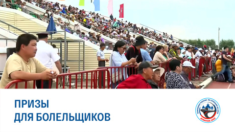 Призы для зрителей