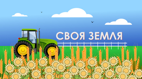 Огурцы. Эфир от 10.07.2023
