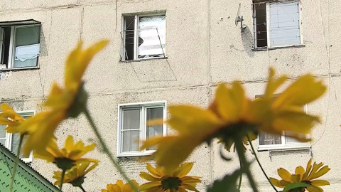 Украинские войска обстреляли брянский поселок: погибла женщина