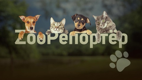 Эфир от 15.07.2023