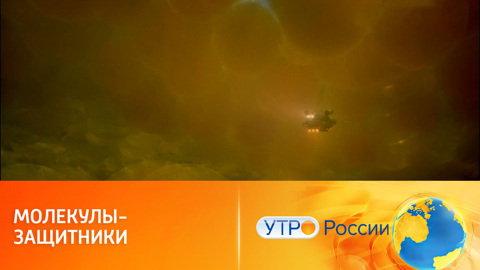 Нанороботы способны находить раковые клетки в организме человека и уничтожать их