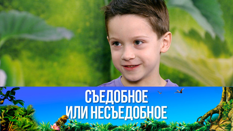 Маффины со смородиной. Эфир от 27.05.2023