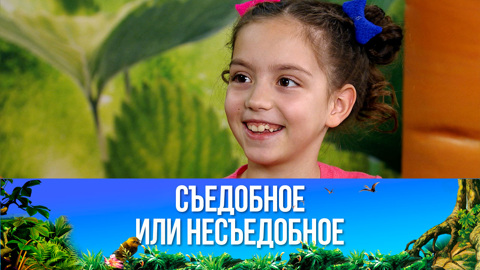 Молочная лапша. Эфир от 04.02.2023