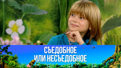 Печеночные оладьи. Эфир от 20.05.2023