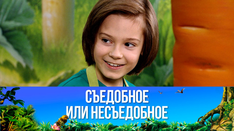 Жюльен с индейкой и грибами. Эфир от 11.02.2023