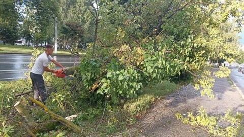 Одиннадцать человек стали жертвами урагана в Поволожье