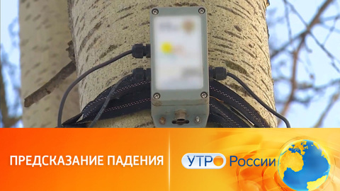 Датчики для деревьев
