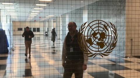 Голосование в ООН разочаровало профессиональных русофобов