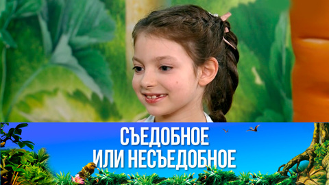 Гренки на завтрак. Эфир от 26.08.2023