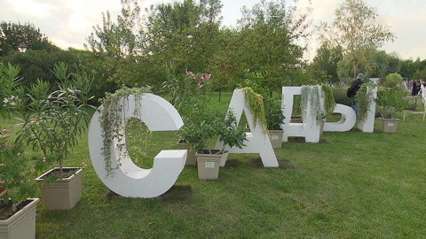 В Царицыне поселилась сказка