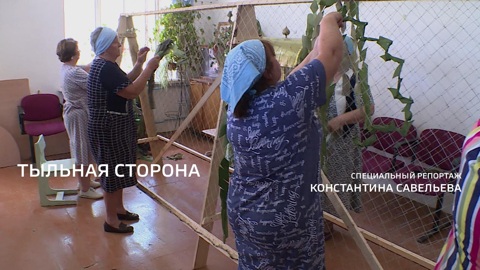 Тыльная сторона