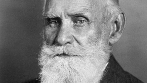 К 300-летию РАН: "Нобелевские победы российской науки"