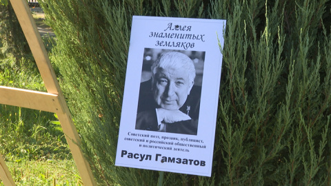 На Аллее знаменитых земляков в Волгограде высадили березку в память о поэте Расуле Гамзатове