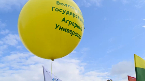 Более 8000 волгоградских первокурсников приняли участие в Параде студентов: репортаж с шумного события