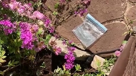 Рамиля Искандер останется под арестом по делу о наркотиках
