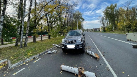 В Ярославле из-за сильного порыва ветра на проезжавший мимо внедорожник упала береза