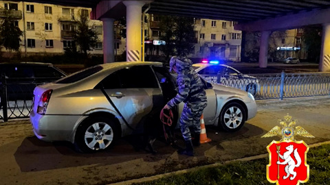 Лихача в Екатеринбурге смогли остановить только стрельбой по колесам