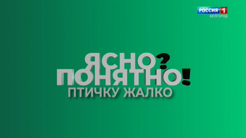 Ясно? Понятно! Птичку жалко