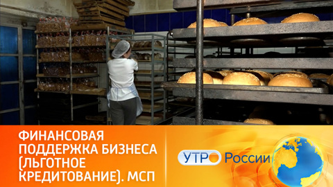 Финансовая поддержка бизнеса (льготное кредитование). Нацпроект "Малое и среднее предпринимательство"