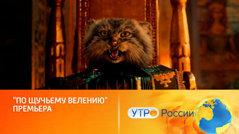 Фильм "По щучьему велению" за неделю собрал более 600 млн рублей