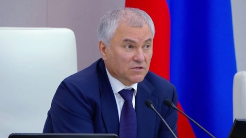 Председатель ГД призвал депутатов поддержать детей участников спецоперации