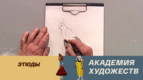 Этюды
