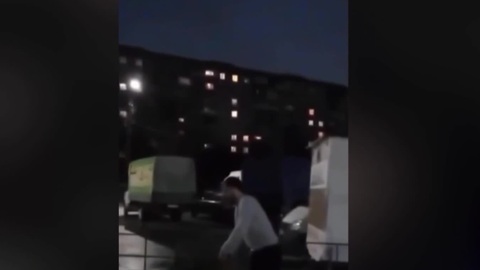 Глава Следкома поручил возбудить уголовное дело по факту конфликта из-за елки во Владимире