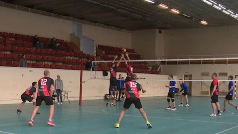 За  кубок Марий Эл по волейболу борются 16 мужских и 11 женских команд