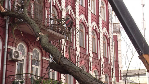 В Ростовской области повреждены электросети, подтоплены дома
