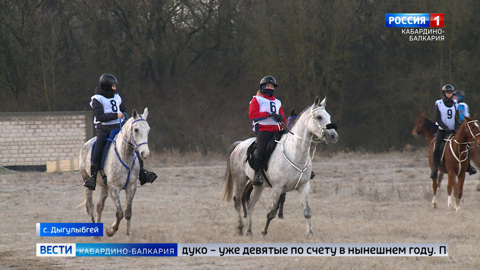 В Баксане провели всероссийские соревнования по дистанционным конным пробегам