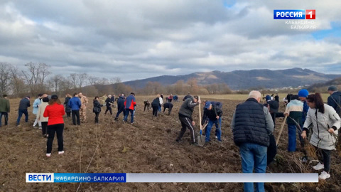 Телебашня в Нальчике окрасится в зеленый цвет в поддержку акции "Сохраним лес"