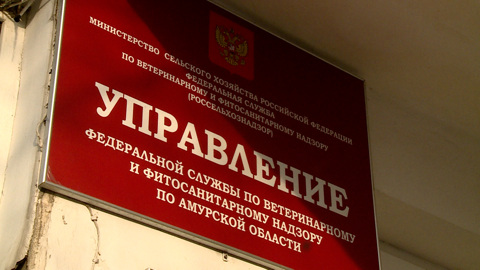 Более 40 процентов производителей фастфуда не имеют регистрации
