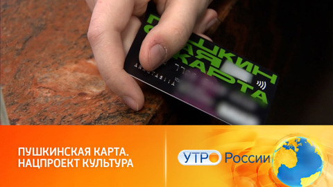 Как работают Пушкинские карты и насколько они популярны
