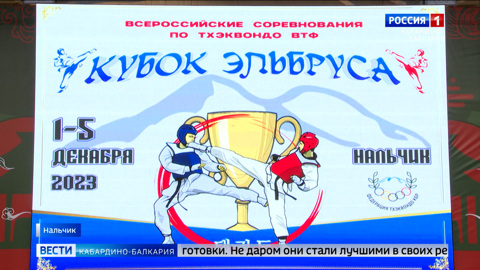В Нальчике завершается турнир по олимпийскому тхэквондо «Кубок Эльбруса»