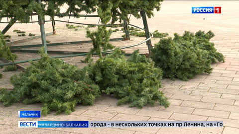 В Нальчике начали  устанавливать   новогодние елки
