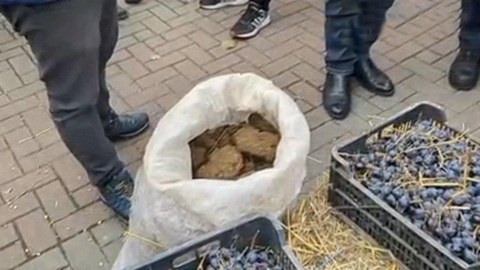 Молдавские фермеры "удобрили" территорию возле парламента