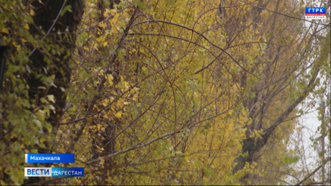Эфир от 06.12.23
