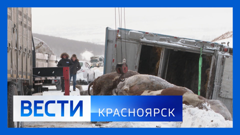 Эфир от 07.12.2023