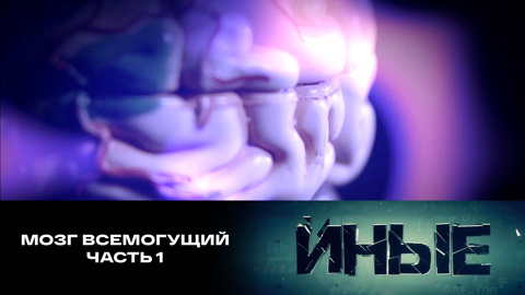 Мозг всемогущий. Часть 1