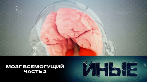 Мозг всемогущий. Часть 2