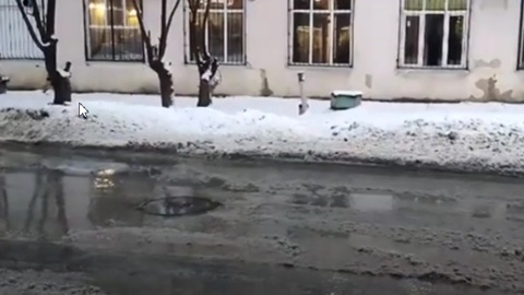 Несколько месяцев жители Артиллерийской утопали в канализационных водах